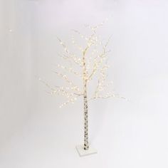 a lighted tree with white lights on it