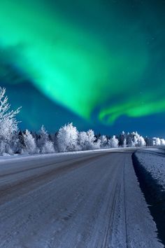 the aurora bore is shining brightly in the sky above trees and snow covered ground on a cold winter day