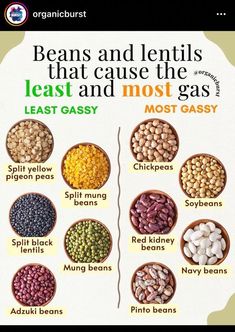 Alkaline Beans, Beans Benefits, Beans And Lentils, Food Health Benefits, Most Paused Movie Scenes, Dr Sebi, Large Intestine, Food Info, Beneficial Bacteria