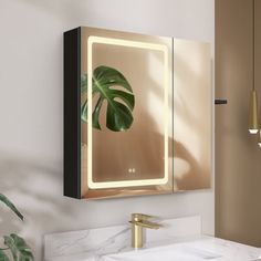 a bathroom with a sink, mirror and potted plant