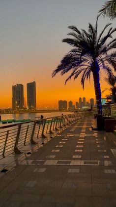 palm trees line the waterfront as the sun sets over the cityscape in the background