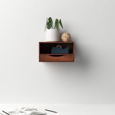 a wooden shelf with two potted plants and a magazine on it next to a white wall