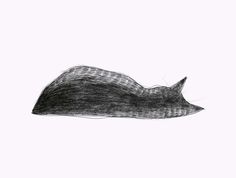 a black and white drawing of a cat's head with long hair on it