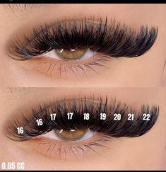 Eyelash Extensions Styles Chart, Volume Lash Maps, Lash Inspiration