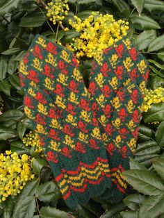 Knitted with three colored yarn in traditional Estonian fair-isle style. all the yarns are hand dyed, 100% Estonian wool. Tightly knitted using 0-size needles and DK-weight yarn, they are perfect to block wind and wear in winter. The pattern used here comes from Tartu area in historic Tartu-Maarja County, Estonia. The patterns reminds me a flower bud.Women's size, also available for custom order in any sizes. Casual Fair Isle Pattern Knitting Pattern For Winter, Casual Fair Isle Knitting Pattern For Winter, Casual Winter Fair Isle Knitting Pattern, Multicolor Knit Pattern For Winter, Winter Multicolor Knitting Pattern, Cozy Multicolor Knitting Pattern For Winter, Bohemian Knitting Pattern For Winter, Bohemian Winter Knitting Pattern, Cozy Multicolor Winter Knitting Pattern