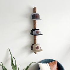 three hats are hanging on the wall next to a plant