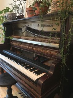 an old piano sitting in front of a potted plant