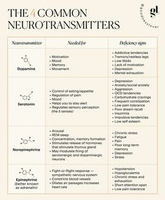 the four common neurotransmitters are shown in this diagram, which shows how