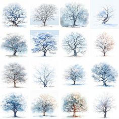 several different types of trees painted in watercolor on white paper with blue and red colors