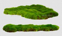 green grass on white background with clippings for the top and bottom view stock photo