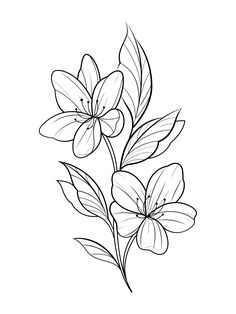 Womens Flower Tattoos Arm, Simple Flower Tattoo Stencil, Arm Tattoo Sketch, Illustrative Flowers, Goth Symbols, Flower Tattoo Stencil, 24 Tattoo, Flower Arm Tattoo, Flower Tattoo Stencils