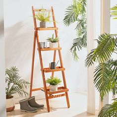 a wooden ladder with potted plants on it