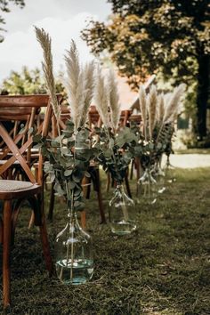 there are many vases with plants in them sitting on the grass next to each other