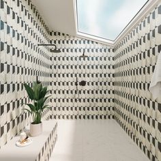 a white and black tiled bathroom with a skylight above the toilet area, along with two planters on either side of the wall