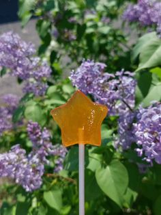 an orange star shaped lollipop sitting on top of a stick in front of purple flowers