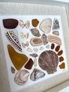 there are many different sea shells on the white paper in front of the picture frame