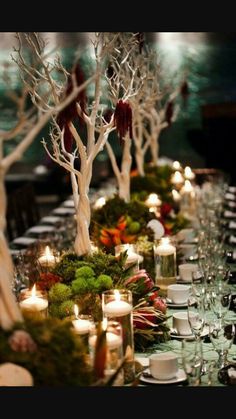 a long table with candles and moss covered trees