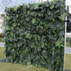 a large green plant covering the side of a building