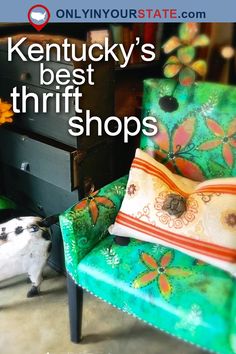 a green chair sitting in front of a dresser next to a white and black dog