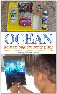 the ocean squish bag is an easy and fun activity for kids to play with