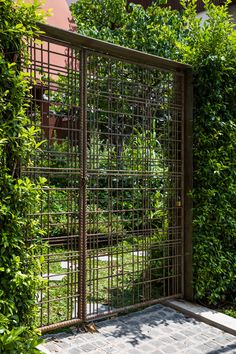 an iron gate is surrounded by greenery