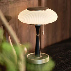 a lamp sitting on top of a wooden table next to a potted green plant