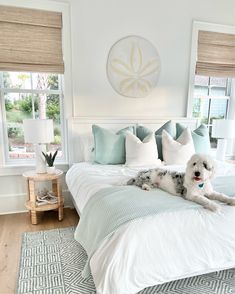 a dog laying on top of a white bed in a room with windows and rugs