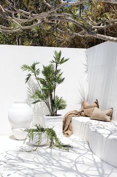 a white bench sitting next to a potted plant on top of a cement slab