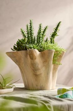 two plants in wooden vases sitting on a table