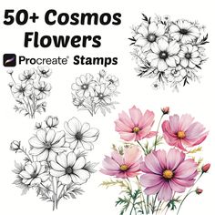 flowers are shown with the words, 50 + cosmos flowers to create stamps