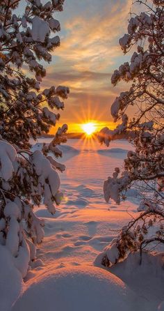 the sun is setting behind some trees in the snow covered field with snow on it