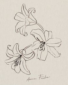 an ink drawing of two flowers on paper