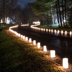 many lit candles are lined up on the side of a road in front of some trees