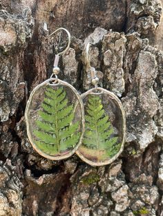 Gorgeous woodland ferns pressed and dried to preserve their natural beauty are featured in these hammered oval bezels. On nickel free ear wire hooks Your choice of either Silver or Gold finish Fern Earrings, Pressed Fern, Fun Earrings, Ear Wire, Earrings Silver, Fern, Gold Finish, Jewelry Earrings Dangle, Natural Beauty