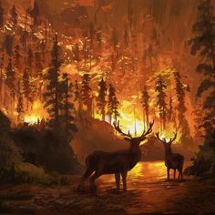 two deer standing in front of a fire filled forest with the sun shining down on them