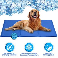 a dog laying on top of a blue mat with snowflakes in the background