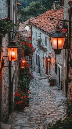 an alley way with flowers growing on it and lanterns hanging from the side of buildings