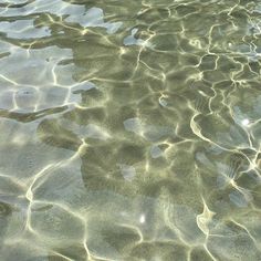 the water is crystal clear and reflecting sunlight