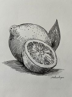 a drawing of a lemon with leaves on it