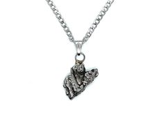 Meteorit Eisenmeteorit Anhänger mit Edelstahlkette und Echtheitszertifikat. Durable Silver Jewelry Gift, Durable Silver Necklace For Gift, Silver Necklace Gift, Gift Card, Things To Sell, Free Shipping, Best Deals