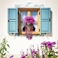 a window with blue shutters and pink flowers