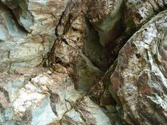 closeup of rocks with small holes in them