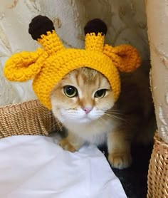 a cat wearing a yellow knitted hat