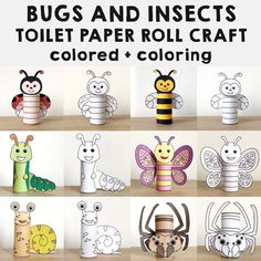 the insect and bug toilet paper roll craft is shown in several different stages of construction