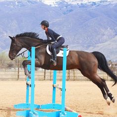 a woman riding on the back of a brown horse jumping over an obstacle with mountains in the background