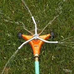 an orange and white toy on the grass with water sprinkles all over it