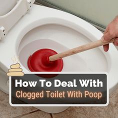 a person using a plunger to clean a toilet with red liquid on the lid