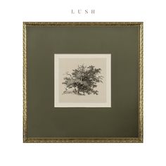 a black and white drawing of a tree in a frame with the words lush above it