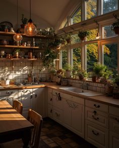 a kitchen filled with lots of counter top space next to a window covered in potted plants