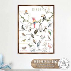 a bird poster hanging on the wall next to a teddy bear and stuffed animal toy